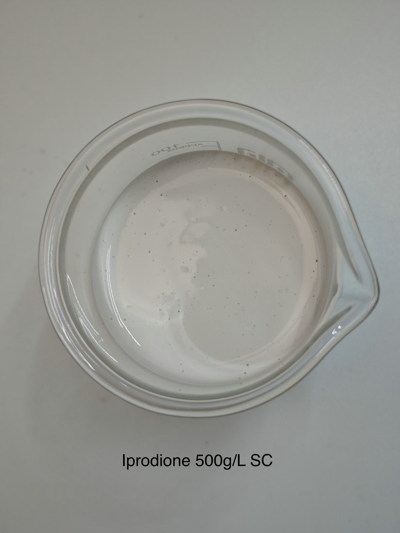 Iprodione 500g/L SC